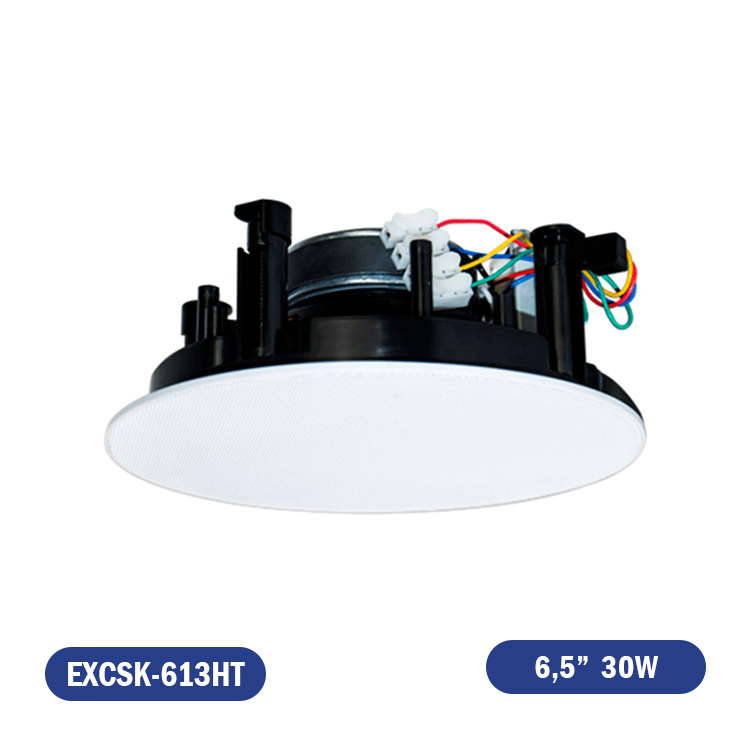 PARLANTE DE CIELO 70/100V 6.5" 30W