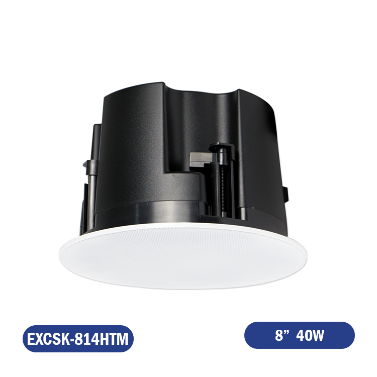 PARLANTE DE CIELO 70/100V 8" 40W