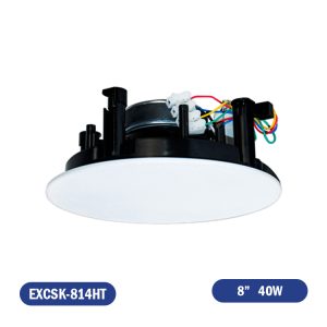 PARLANTE DE CIELO 70/100V 8" 40W