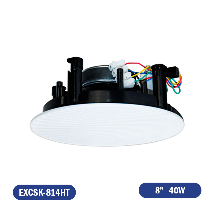 PARLANTE DE CIELO 70/100V 8" 40W