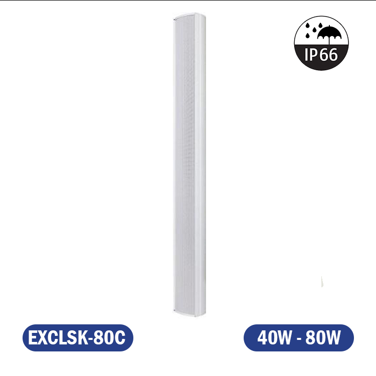 COLUMNA ARRAY DE EXTERIOR E INTERIOR 80W 70/100v