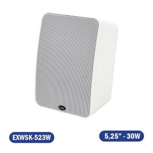 PARLANTE DE LINEA 2 VIAS 5,25" 100V/70V CON UNA POTENCIA DE 30 W/15 W